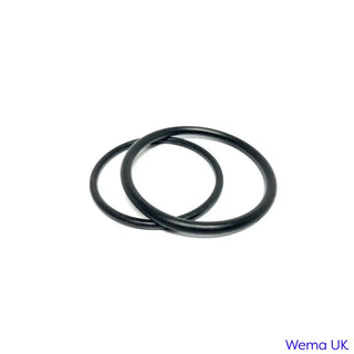 Two black rubber O-rings for replacement Nitrile O’rings and Gasket FL-2 flange